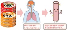 いわしペプチド 画像1