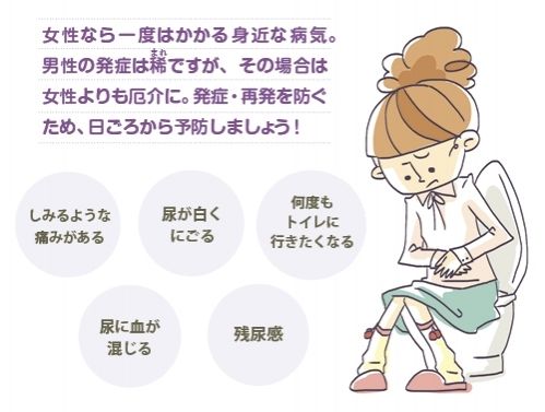 膀胱炎について 治療と運動 Attivo アッティーボ 大阪 膀胱炎について 治療と運動 Attivo アッティーボ 大阪