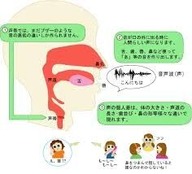 声の出る仕組み 画像1