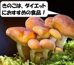¥¥Î¥³¤Î¸ú²Ì¡¡²èÁü£±