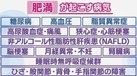 肥満が起こす病気 画像1