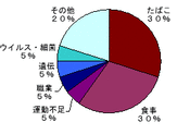 がんの原因 画像1