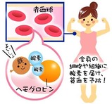 鉄の作用 画像1