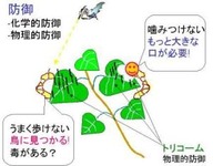 植物の防衛反応 画像1