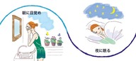 皮膚は夜に造られる 画像1-1