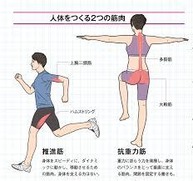 支える力と動かす力 画像1