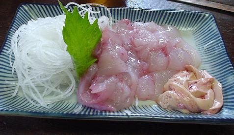茅ヶ崎の季節料理 河童 バイクに乗ってるプログラマー