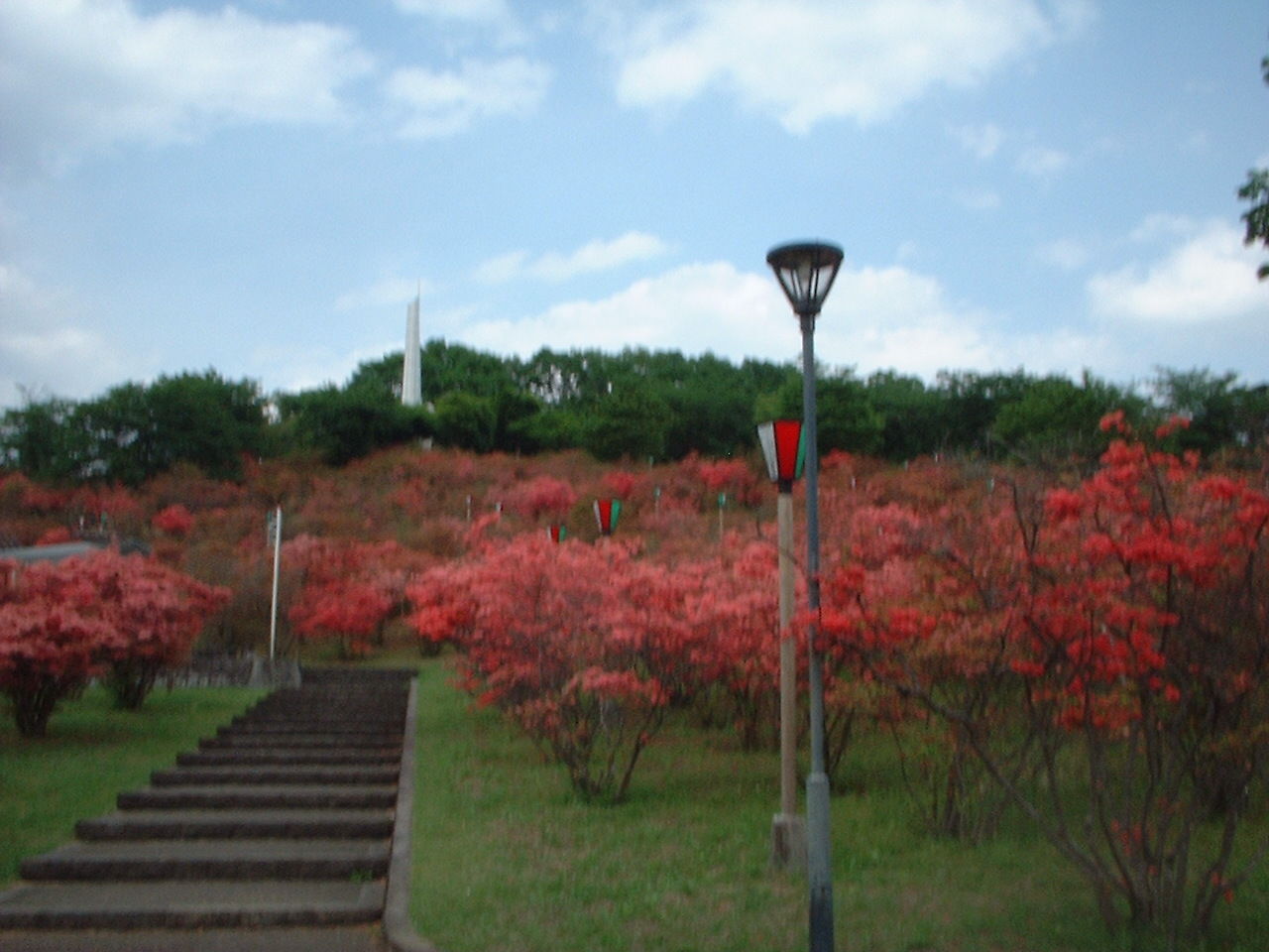 つつじ祭り 栃木県矢板の不動産情報アットホーム つつじ祭り 栃木県矢板の不動産情報アットホーム