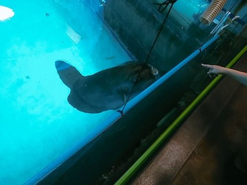 20180821_112407_657