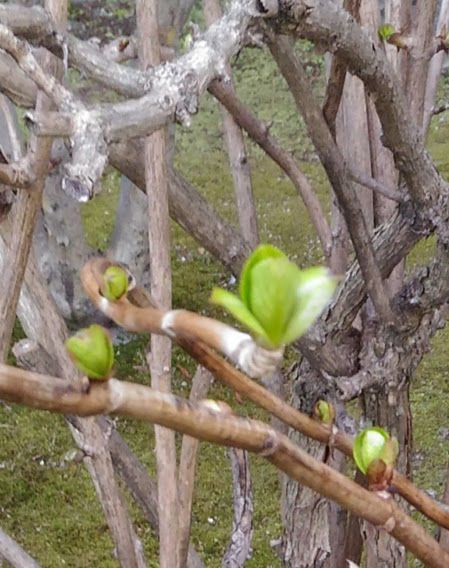 ���������β�