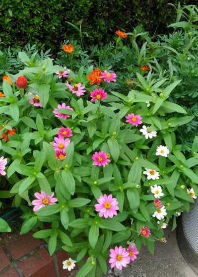 ���Ȥ�ɤ�β�