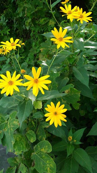 �����β�