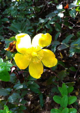 �Ƥ˺餯�����β�