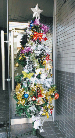 �������Υĥ꡼