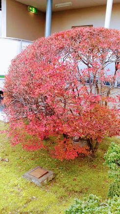 ����ü�Τɤ�����ĤĤ�