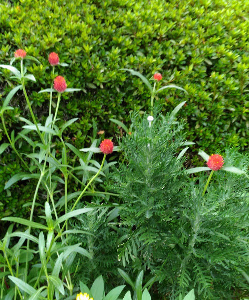 �֤��ܥ�ܥ��