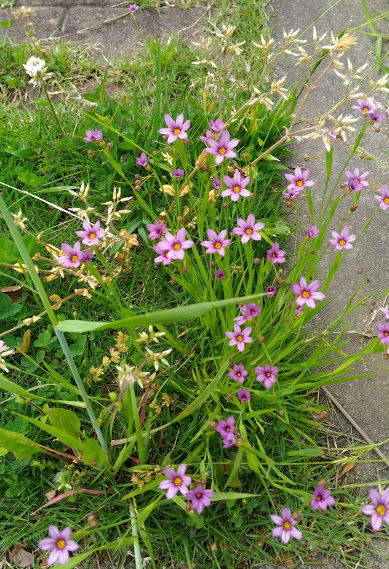 P_20170517_091431�˥糧�����祦