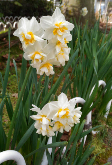 �����Ȭ��