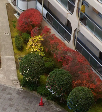 ���դ����ɤ�����ĤĤ�