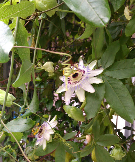 ���֤��Ƥ��������