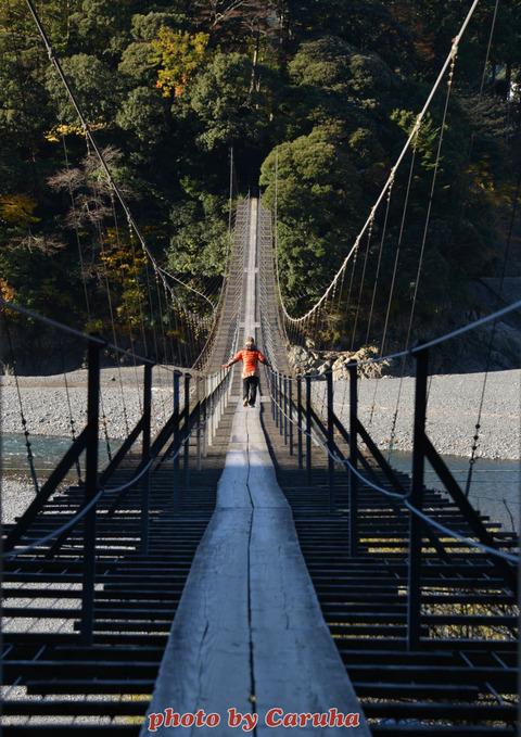 塩郷吊り橋