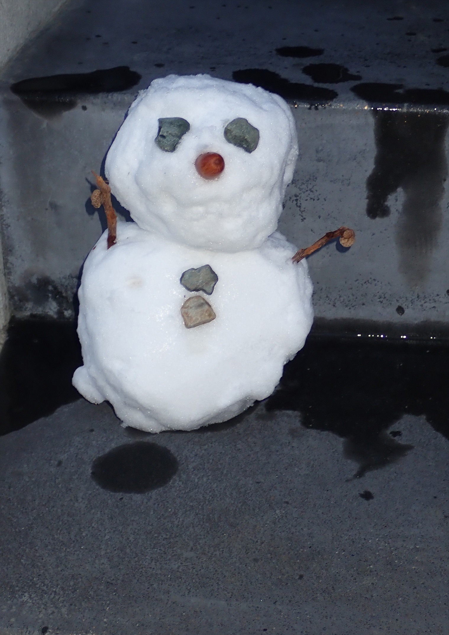 雪だるま 写真集団 渥美の風 雪だるま 写真集団 渥美の風