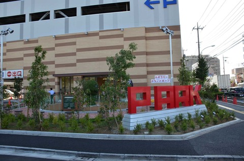 p_ark_g01