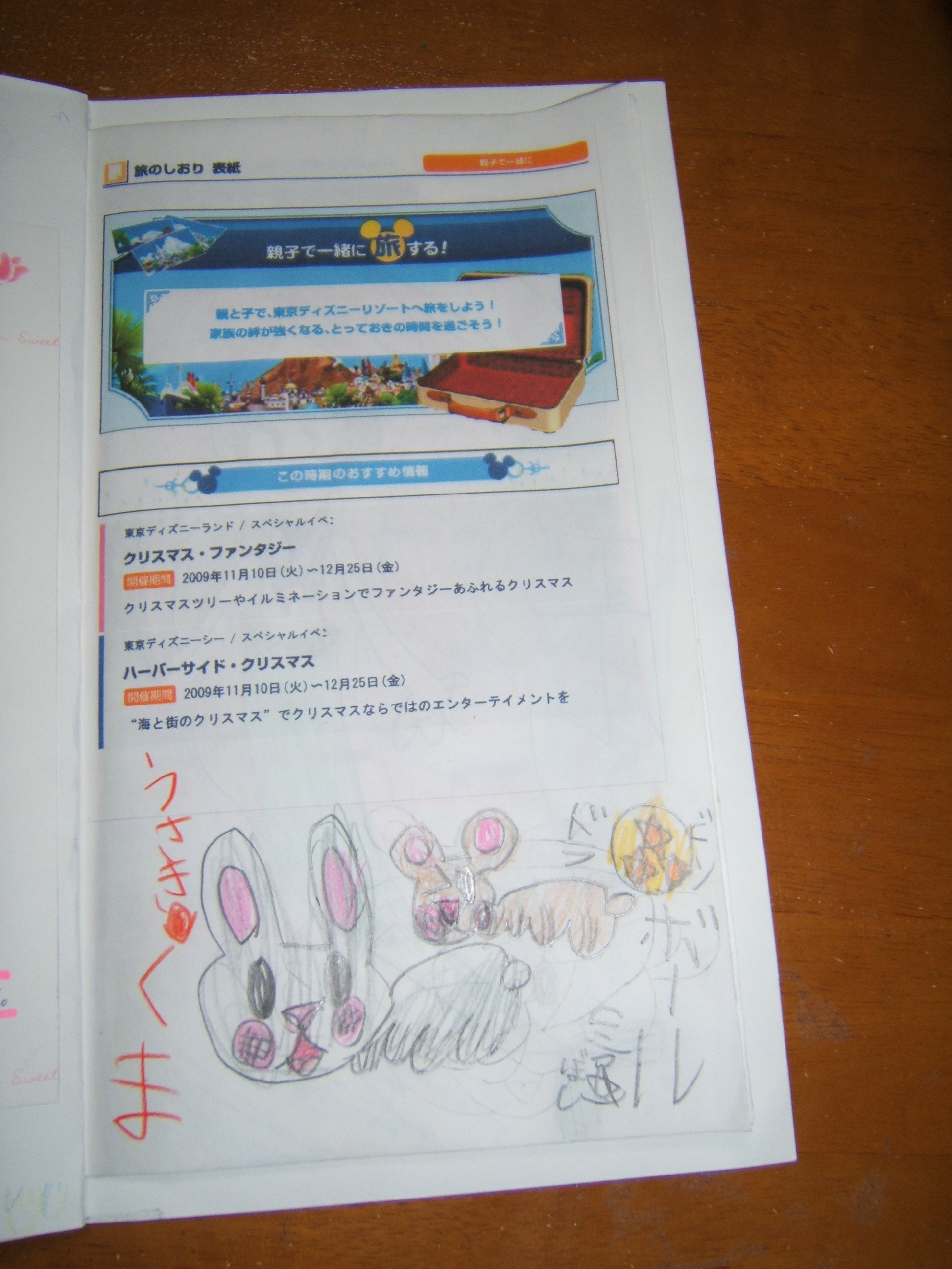ｔｄｒのしおり キャンプとｔｄｒ