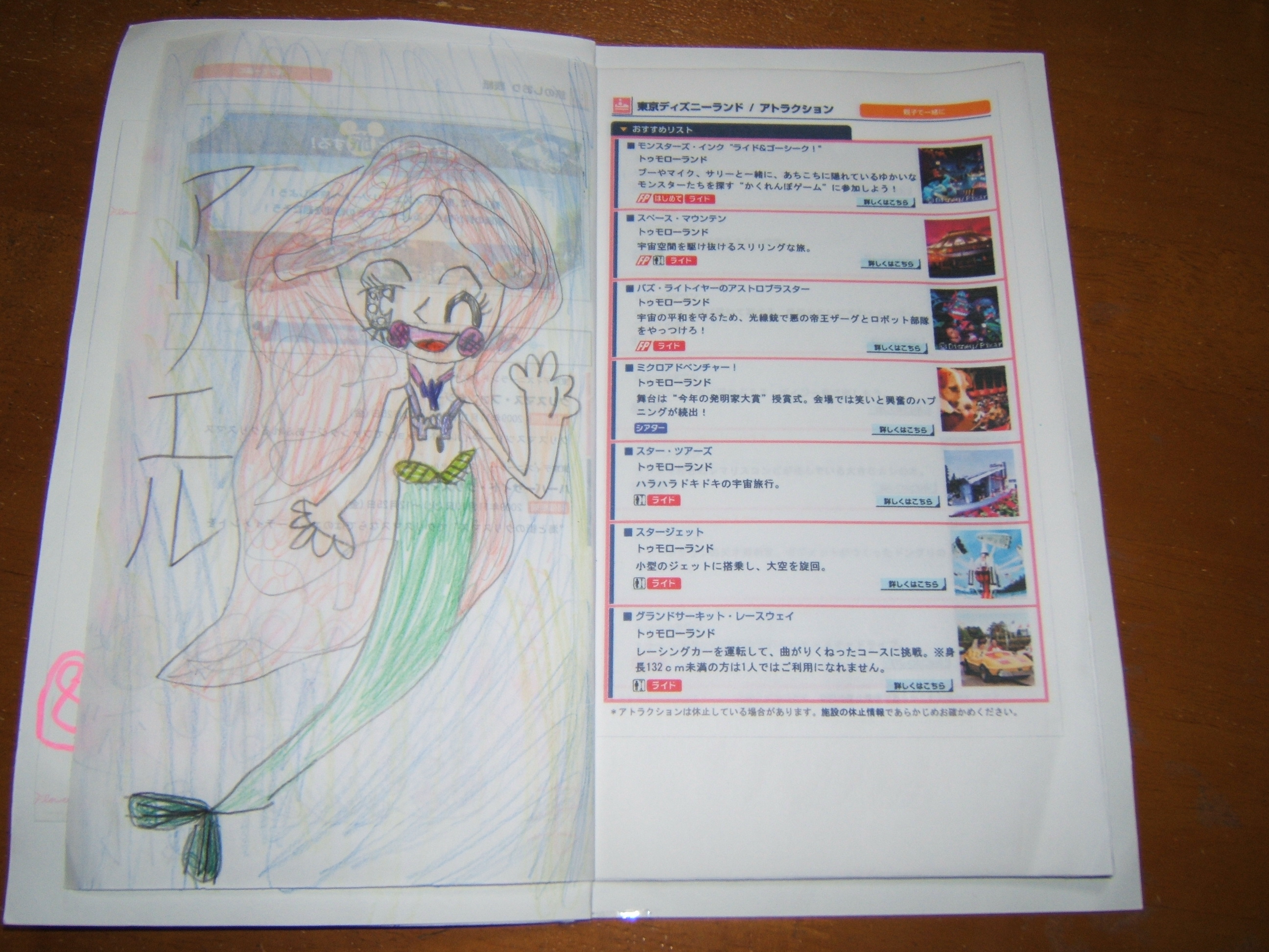 ｔｄｒのしおり キャンプとｔｄｒ