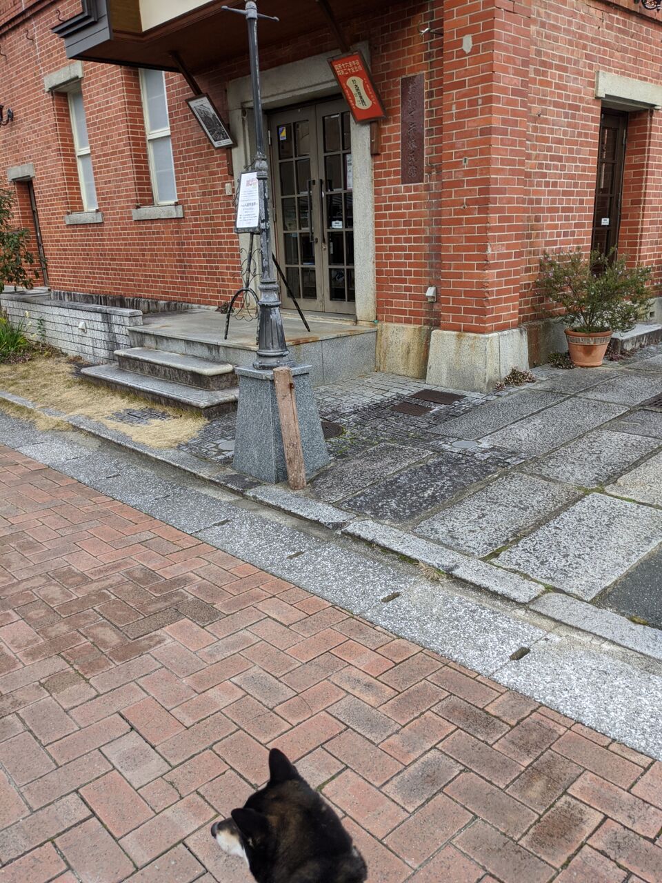 犬連れ車中泊 愛媛 1 キャンプとtdr 犬連れ車中泊 愛媛 1 キャンプとtdr