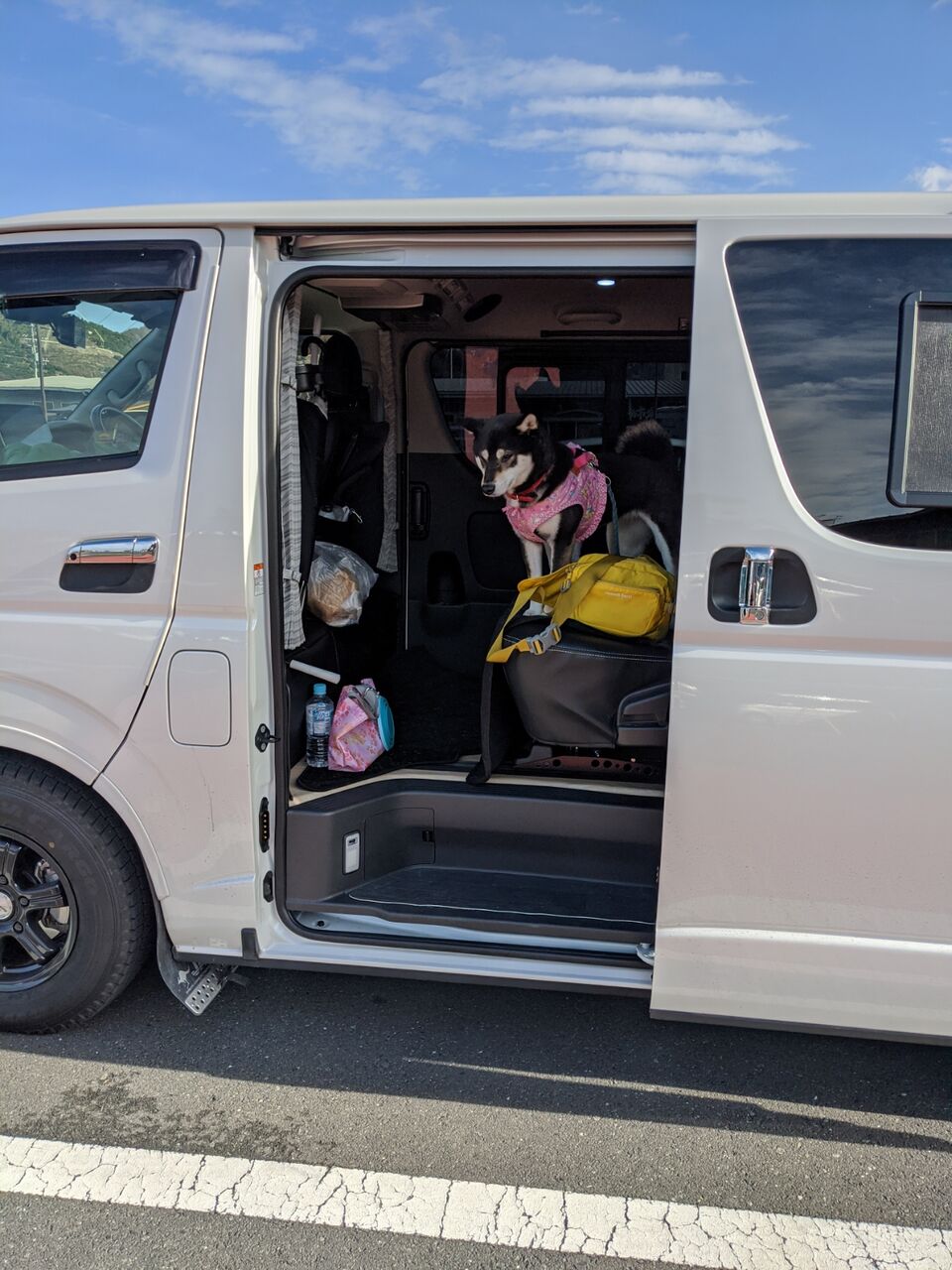 犬連れ車中泊 愛媛 2 キャンプとtdr 犬連れ車中泊 愛媛 2 キャンプとtdr