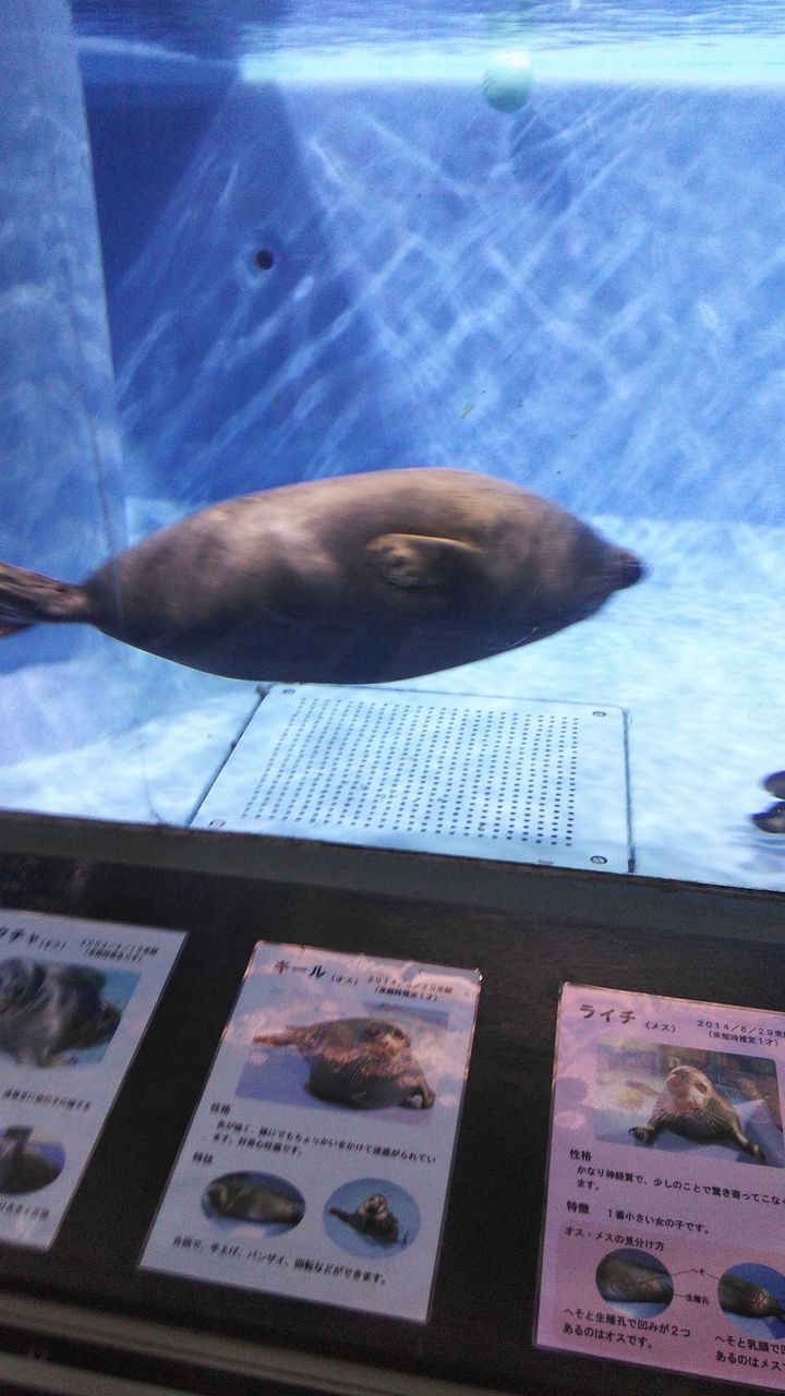 三重県 伊勢志摩エバーグレイズ3 キャンプとｔｄｒ