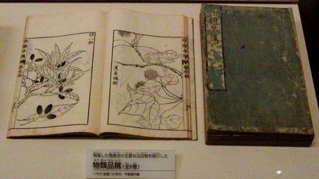 Gennai ʿ�츻���� ��ʪ������1763������13��ǯ��