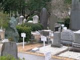 Aoyama Graves at Risk