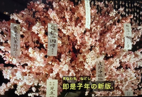 16th eps 2025 NHK Berabo - tanzaku