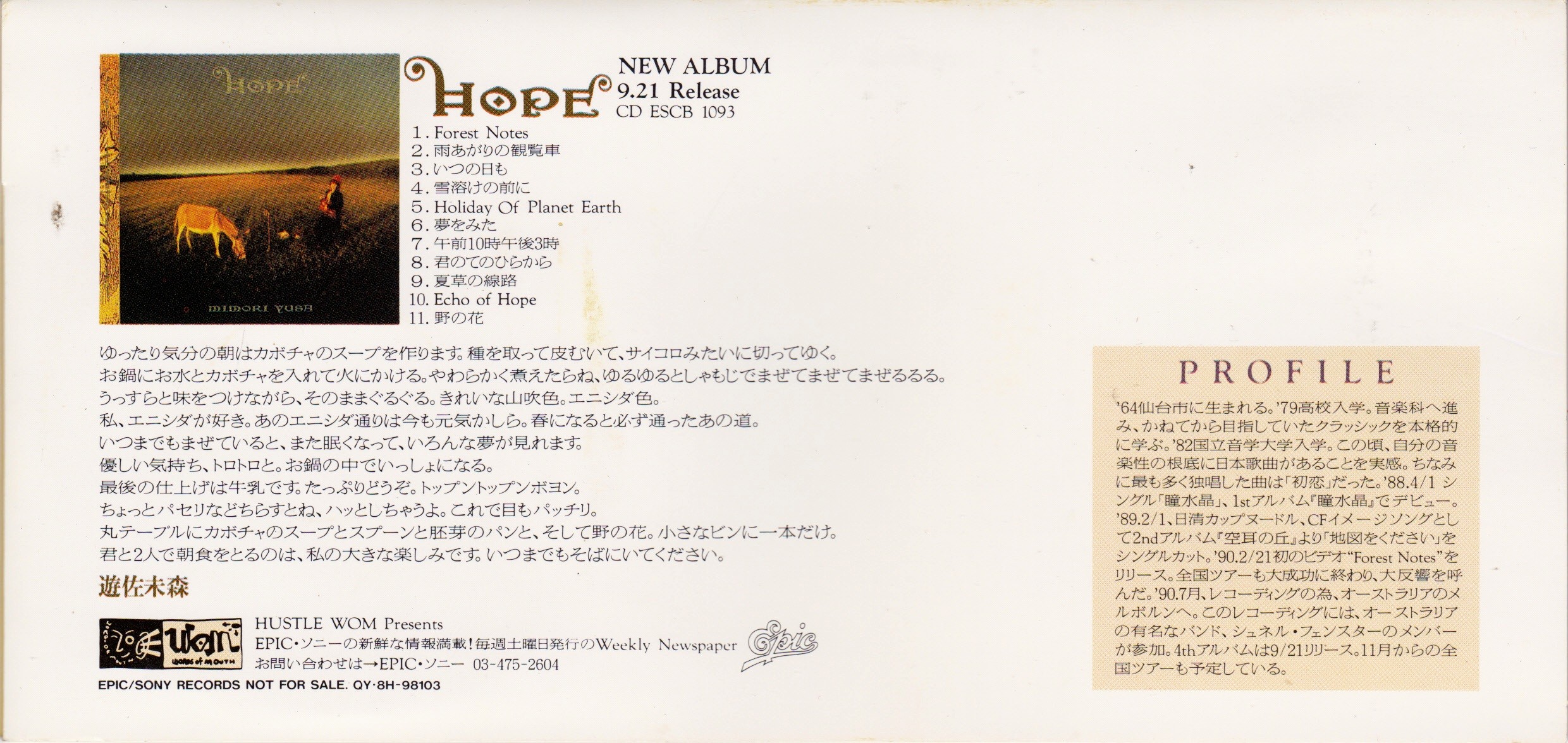 遊佐未森 サウンドカタログ voice of HOPE