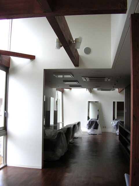 355c5880.jpg