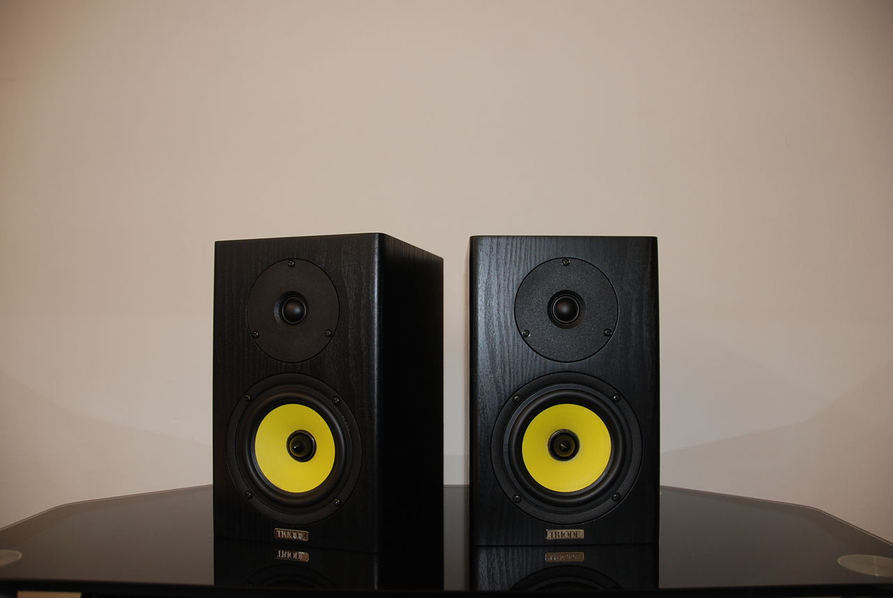 トライオード　TR-SP1　スピーカー トライオード TR-SP1 スピーカー TR-SP1 - Triode