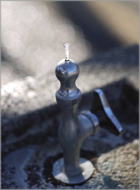 P1020397_hyouchuu_lum