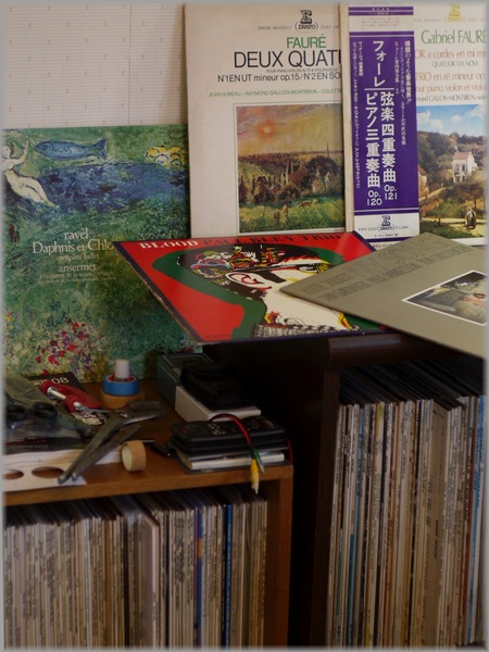 P1020858_katasumi_lum