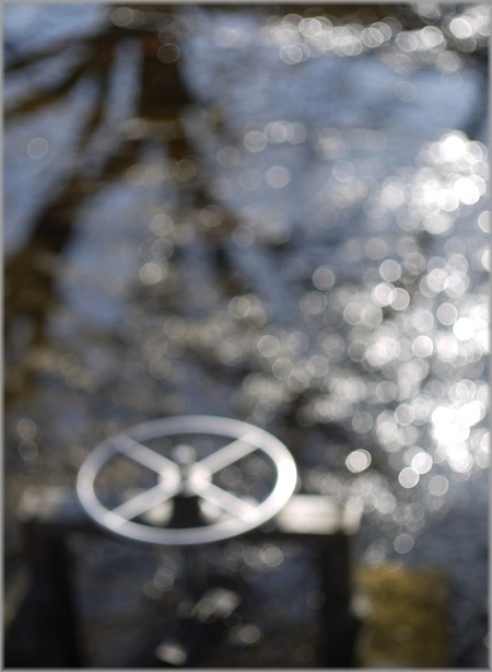 P1020537_mizuyurumu_lum