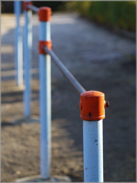 P1020153_tetsubou_lum