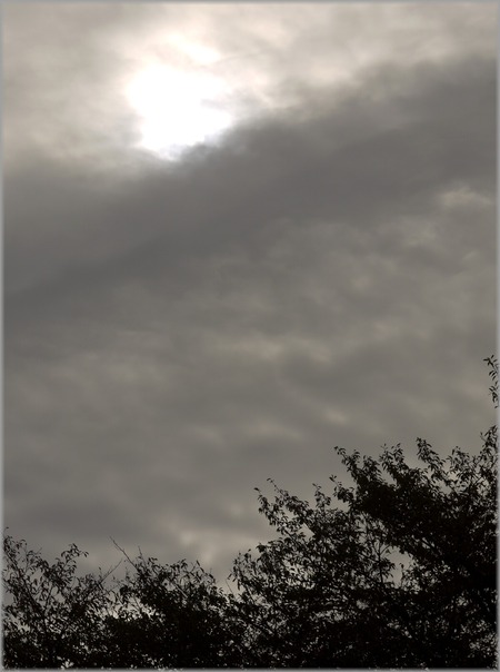 P1010730_akigumo_lum