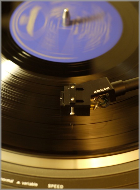 P1010689_dreamofyou_lum