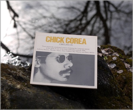 P1060911_circlingin_lum