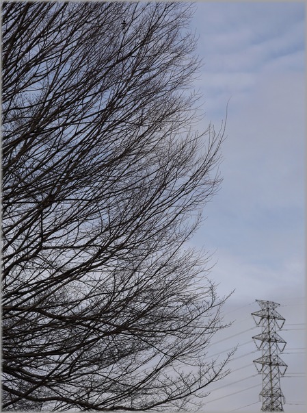 P1020472_harunokumo_lum