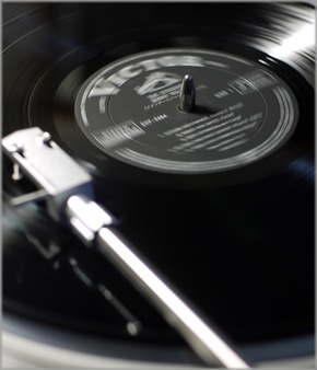 P1020423_rollinsStd_lum