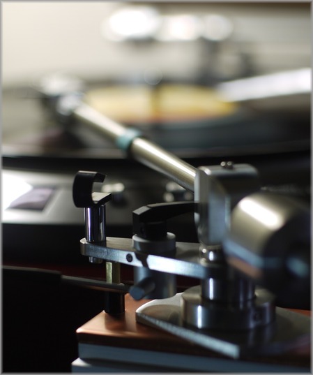 P1020742_konchuu_lum