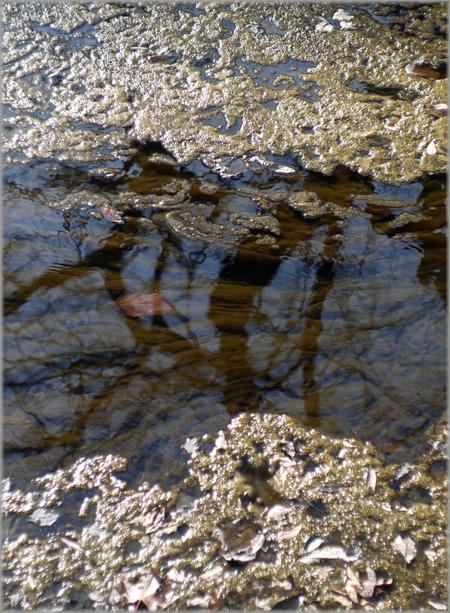 P1020381_mizubusoku_lum