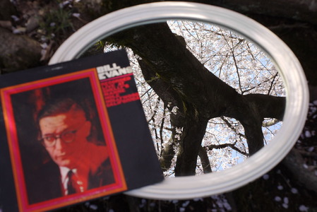 Shelly's Manne Hole_250